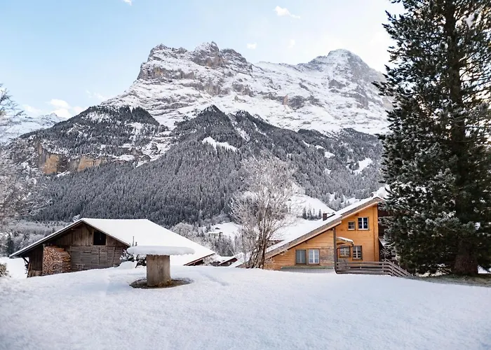 Arabelle Гриндельвальд